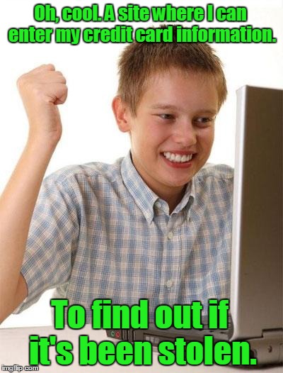 First Day On The Internet Kid | Oh, cool. A site where I can enter my credit card information. To find out if it's been stolen. | image tagged in memes,first day on the internet kid | made w/ Imgflip meme maker