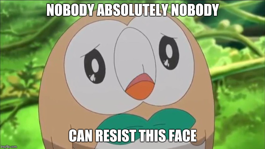 Sad face | NOBODY ABSOLUTELY NOBODY; CAN RESIST THIS FACE | image tagged in sad face | made w/ Imgflip meme maker