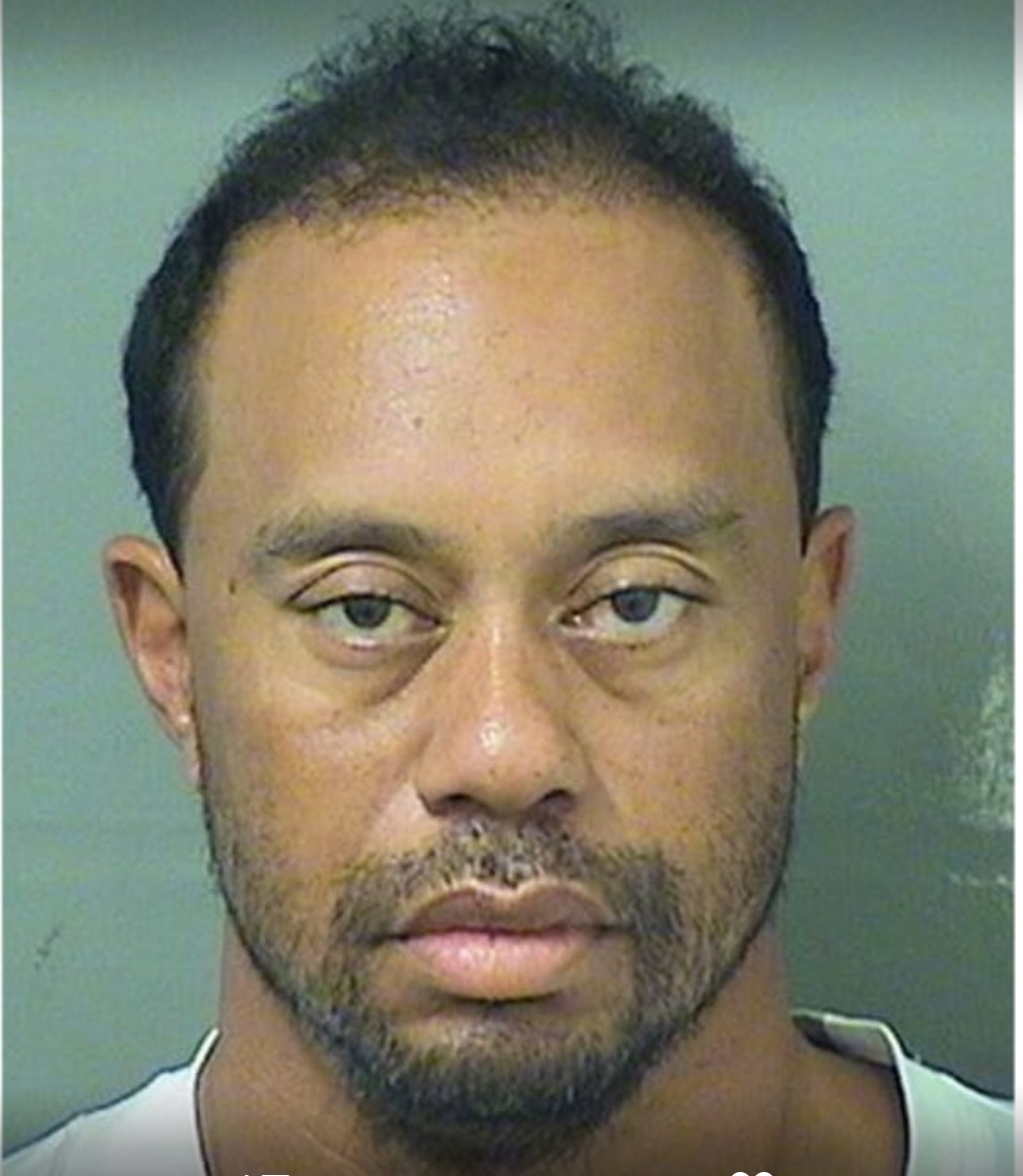Tiger Woods Mug Shot  Blank Meme Template
