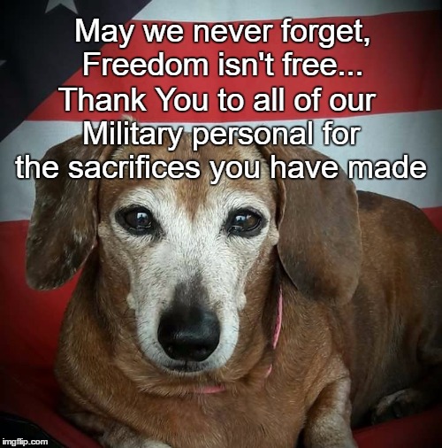 Patriotic Thank You | May we never forget, Freedom isn't free... Thank You to all of our Military personal for the sacrifices you have made | image tagged in thank you,memorial day,patriotic | made w/ Imgflip meme maker