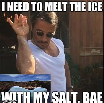 salt bae | I NEED TO MELT THE ICE; WITH MY SALT, BAE | image tagged in salt bae | made w/ Imgflip meme maker