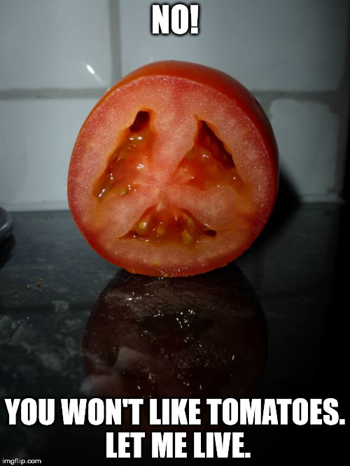 NO! YOU WON'T LIKE TOMATOES. LET ME LIVE. | made w/ Imgflip meme maker