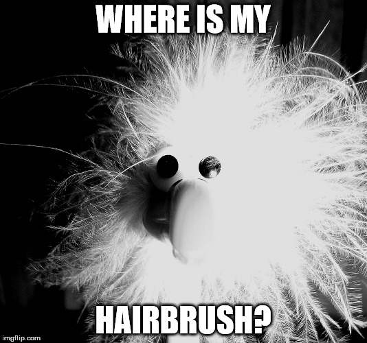 WHERE IS MY; HAIRBRUSH? | made w/ Imgflip meme maker