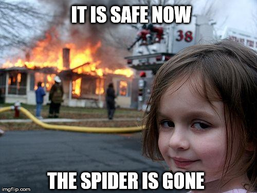 Disaster Girl Meme | IT IS SAFE NOW; THE SPIDER IS GONE | image tagged in memes,disaster girl | made w/ Imgflip meme maker