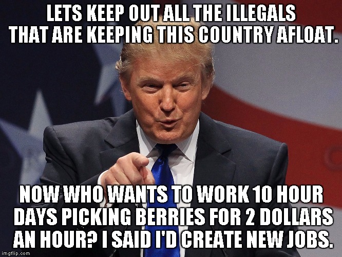 Trump immigration policy | LETS KEEP OUT ALL THE ILLEGALS THAT ARE KEEPING THIS COUNTRY AFLOAT. NOW WHO WANTS TO WORK 10 HOUR DAYS PICKING BERRIES FOR 2 DOLLARS AN HOUR? I SAID I'D CREATE NEW JOBS. | image tagged in trump immigration policy | made w/ Imgflip meme maker