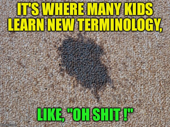 IT'S WHERE MANY KIDS LEARN NEW TERMINOLOGY, LIKE, "OH SHIT !" | made w/ Imgflip meme maker