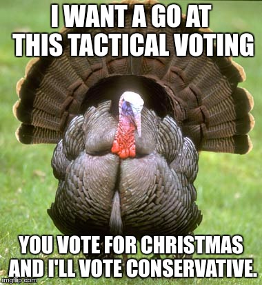Turkey | I WANT A GO AT THIS TACTICAL VOTING; YOU VOTE FOR CHRISTMAS AND I'LL VOTE CONSERVATIVE. | image tagged in memes,turkey | made w/ Imgflip meme maker