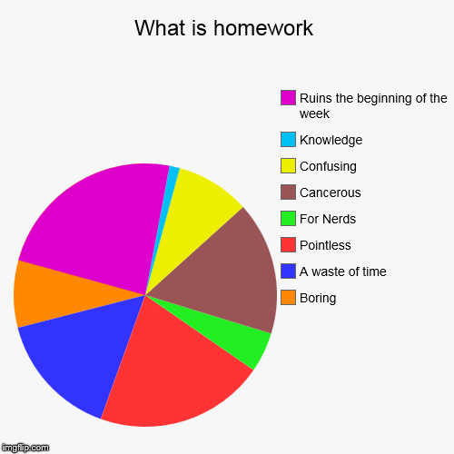 why is homework pointless