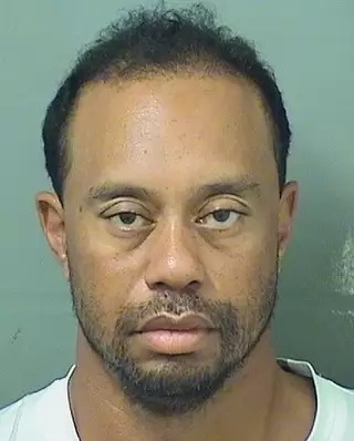 High Quality Tiger Woods DUI Blank Meme Template