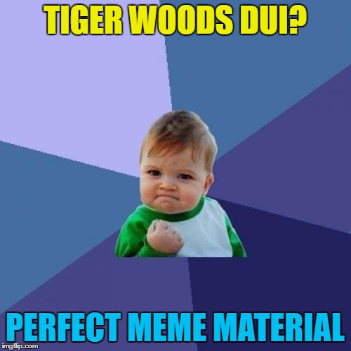 Success Kid Meme | TIGER WOODS DUI? PERFECT MEME MATERIAL | image tagged in memes,success kid | made w/ Imgflip meme maker