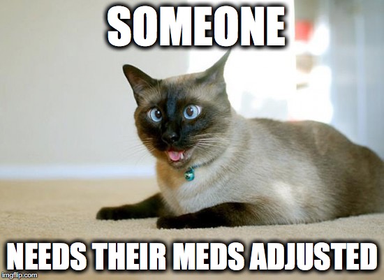 Cat meds | SOMEONE; NEEDS THEIR MEDS ADJUSTED | image tagged in cat meds | made w/ Imgflip meme maker
