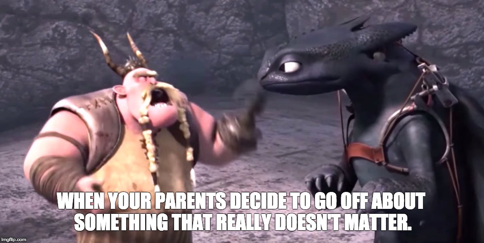 WHEN YOUR PARENTS DECIDE TO GO OFF ABOUT SOMETHING THAT REALLY DOESN'T MATTER. | image tagged in toothless,gobber,how to train your dragon | made w/ Imgflip meme maker