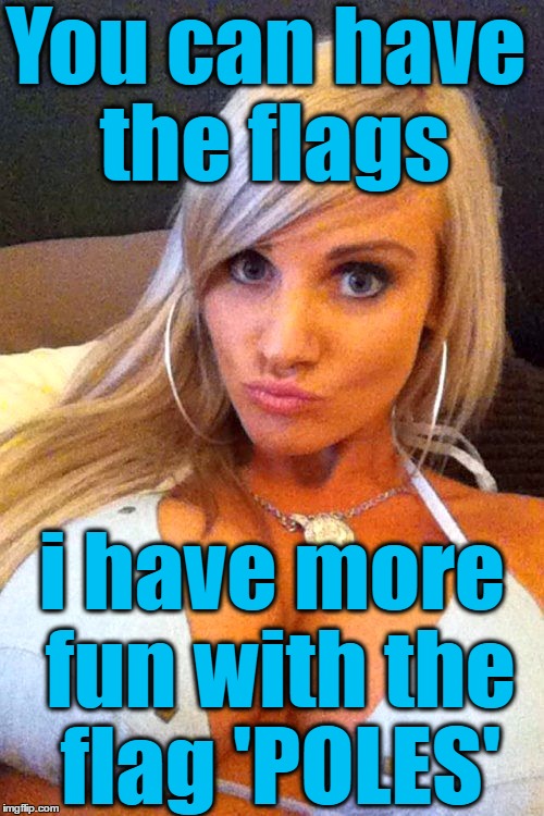 You can have the flags i have more fun with the flag 'POLES' | image tagged in cleavage | made w/ Imgflip meme maker