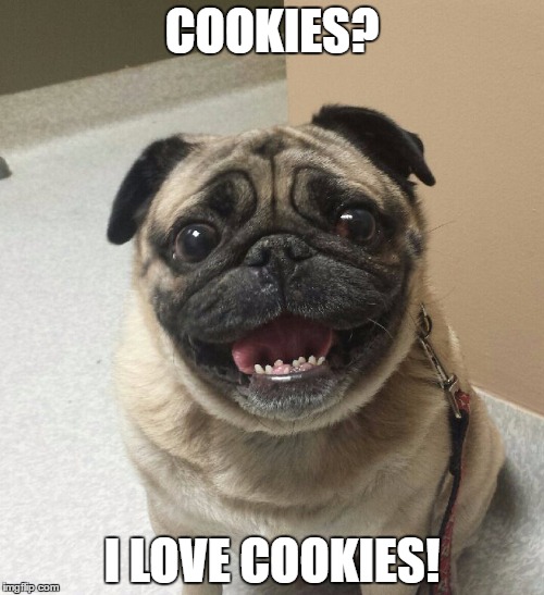  COOKIES? I LOVE COOKIES! | image tagged in pugs | made w/ Imgflip meme maker