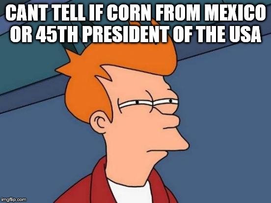 Futurama Fry | CANT TELL IF CORN FROM MEXICO OR 45TH PRESIDENT OF THE USA | image tagged in memes,futurama fry | made w/ Imgflip meme maker