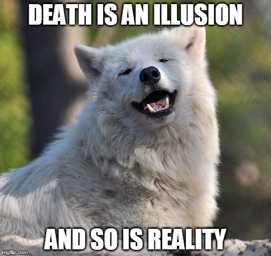 Nothing is real, stress is only for people that take life seriously! Memento Mori et Carpe Diem! | DEATH IS AN ILLUSION; AND SO IS REALITY | image tagged in white wolf happy | made w/ Imgflip meme maker