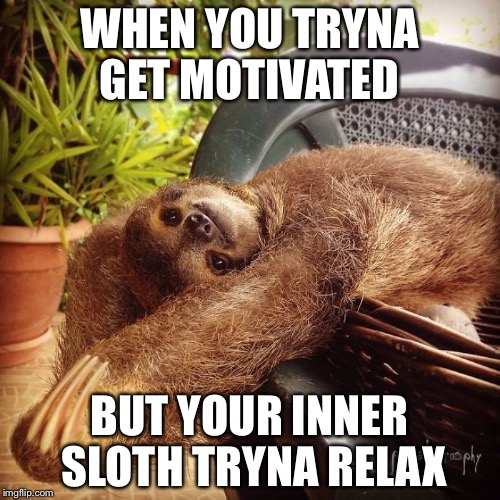 Sloth life | WHEN YOU TRYNA GET MOTIVATED; BUT YOUR INNER SLOTH TRYNA RELAX | image tagged in sloth,lazy,relax,motivation,funny,cute | made w/ Imgflip meme maker