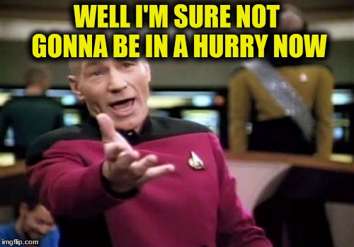 Picard Wtf Meme | WELL I'M SURE NOT GONNA BE IN A HURRY NOW | image tagged in memes,picard wtf | made w/ Imgflip meme maker