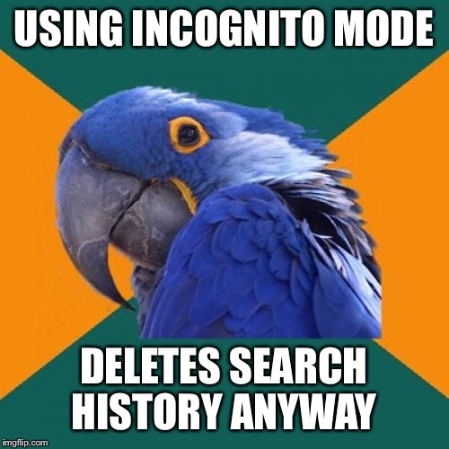 Paranoid Parrot Meme | USING INCOGNITO MODE; DELETES SEARCH HISTORY ANYWAY | image tagged in memes,paranoid parrot | made w/ Imgflip meme maker