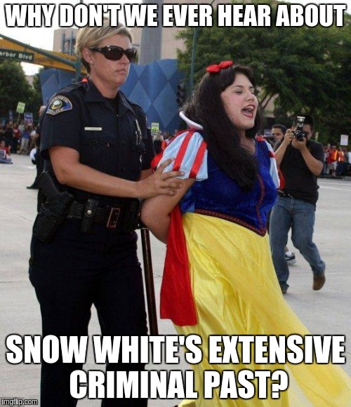 Snow White Privilege  | WHY DON'T WE EVER HEAR ABOUT; SNOW WHITE'S EXTENSIVE CRIMINAL PAST? | image tagged in no snow white privilege for you,memes | made w/ Imgflip meme maker