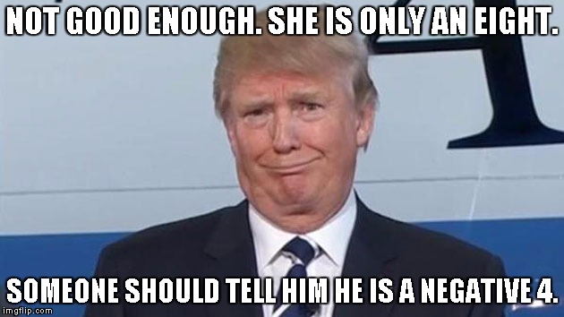 Trump Face | NOT GOOD ENOUGH. SHE IS ONLY AN EIGHT. SOMEONE SHOULD TELL HIM HE IS A NEGATIVE 4. | image tagged in trump face | made w/ Imgflip meme maker