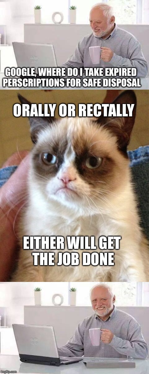 Don't ask Google if you really don't want to know | GOOGLE, WHERE DO I TAKE EXPIRED PERSCRIPTIONS FOR SAFE DISPOSAL; ORALLY OR RECTALLY; EITHER WILL GET THE JOB DONE | image tagged in memes,hide the pain harold,grumpy cat | made w/ Imgflip meme maker