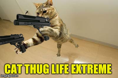 CAT THUG LIFE EXTREME | made w/ Imgflip meme maker