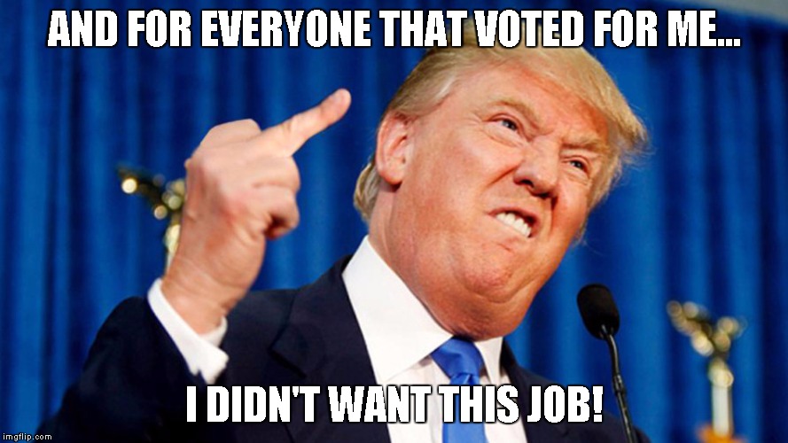 Trump - Bird | AND FOR EVERYONE THAT VOTED FOR ME... I DIDN'T WANT THIS JOB! | image tagged in trump - bird | made w/ Imgflip meme maker