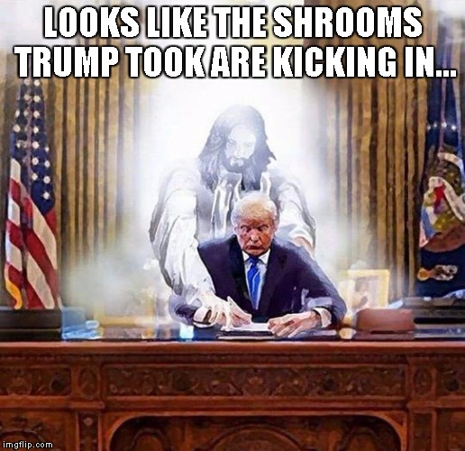 trump jesus | LOOKS LIKE THE SHROOMS TRUMP TOOK ARE KICKING IN... | image tagged in trump jesus | made w/ Imgflip meme maker