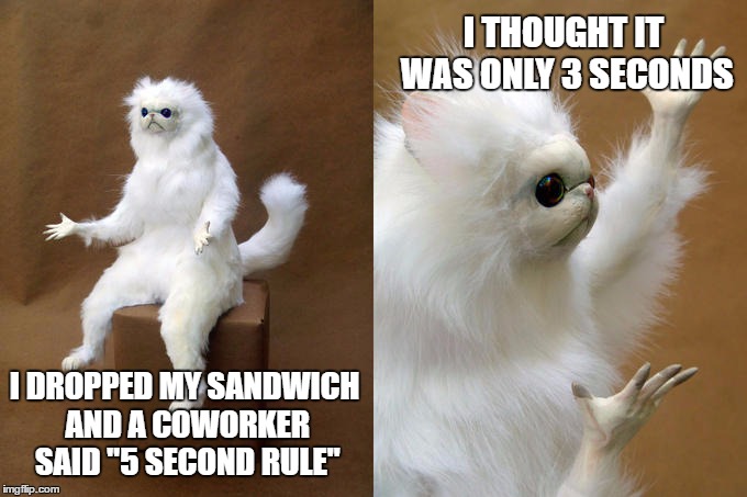 What happened to standards! | I THOUGHT IT WAS ONLY 3 SECONDS; I DROPPED MY SANDWICH AND A COWORKER SAID "5 SECOND RULE" | image tagged in memes,persian cat room guardian | made w/ Imgflip meme maker