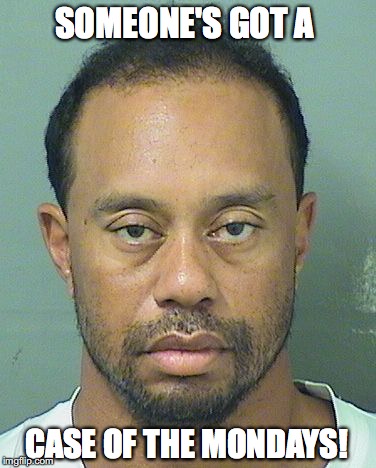 SOMEONE'S GOT A; CASE OF THE MONDAYS! | image tagged in tiger woods,drunk | made w/ Imgflip meme maker