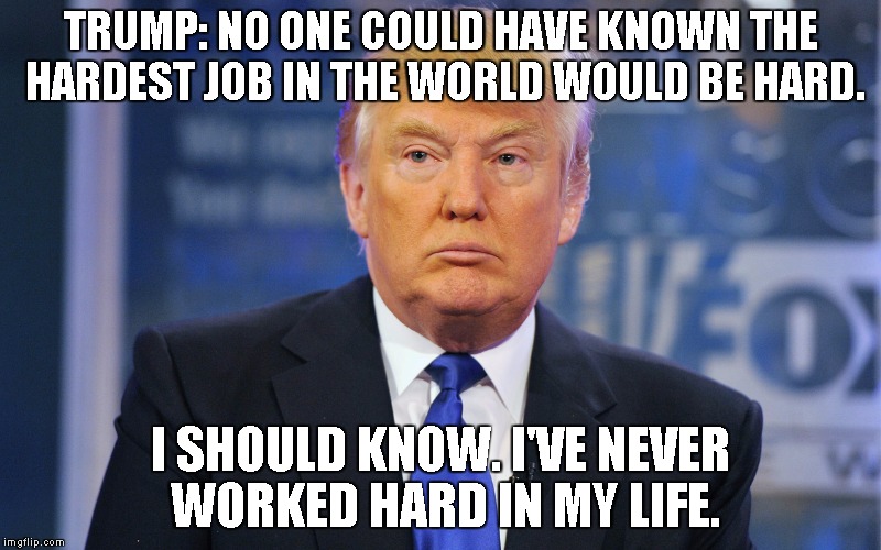 trump no one could have known | TRUMP: NO ONE COULD HAVE KNOWN THE HARDEST JOB IN THE WORLD WOULD BE HARD. I SHOULD KNOW. I'VE NEVER WORKED HARD IN MY LIFE. | image tagged in trump no one could have known | made w/ Imgflip meme maker