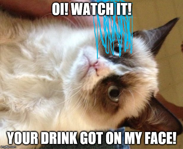 Grumpy Cat Meme | OI! WATCH IT! YOUR DRINK GOT ON MY FACE! | image tagged in memes,grumpy cat | made w/ Imgflip meme maker