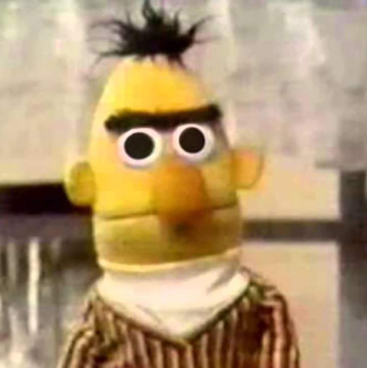 Geeked Bert Blank Meme Template