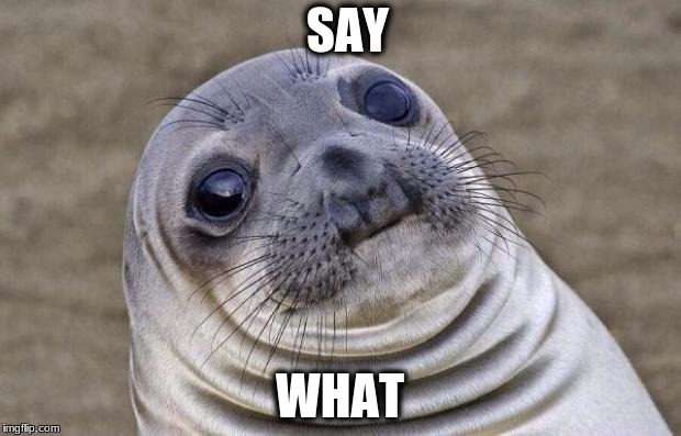 Awkward Moment Sealion Meme | SAY; WHAT | image tagged in memes,awkward moment sealion | made w/ Imgflip meme maker