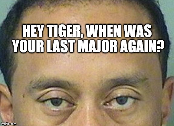 HEY TIGER, WHEN WAS YOUR LAST MAJOR AGAIN? | image tagged in tiger woods,golf | made w/ Imgflip meme maker