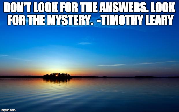 timothy leary quotes