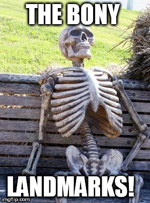 Waiting Skeleton Meme | THE BONY; LANDMARKS! | image tagged in memes,waiting skeleton | made w/ Imgflip meme maker