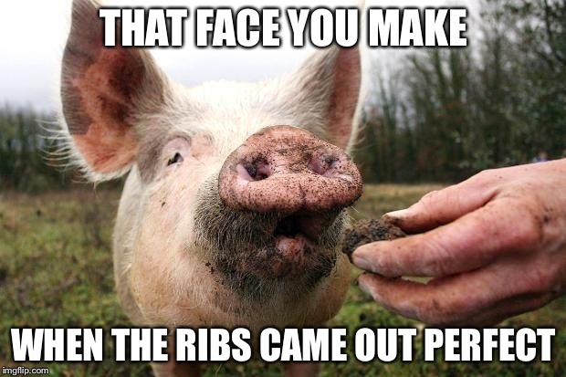 OINK! | THAT FACE YOU MAKE; WHEN THE RIBS CAME OUT PERFECT | image tagged in trufflepig,memes,bbq,ribs,barbeque | made w/ Imgflip meme maker