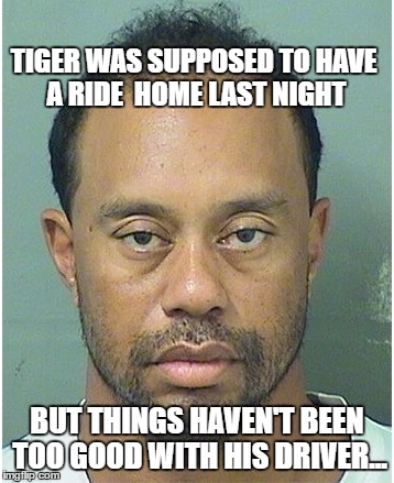 TIGER WOODS YALL | TIGER WAS SUPPOSED TO HAVE A RIDE 
HOME LAST NIGHT; BUT THINGS HAVEN'T BEEN TOO GOOD WITH HIS DRIVER... | image tagged in tiger woods,arrest,mugshot,drunk,driving | made w/ Imgflip meme maker