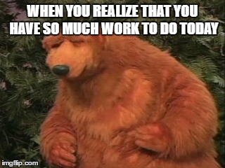 WHEN YOU REALIZE THAT YOU HAVE SO MUCH WORK TO DO TODAY | image tagged in bear,work | made w/ Imgflip meme maker