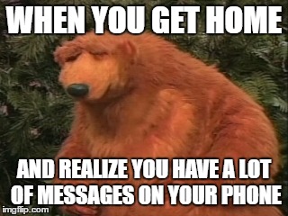 WHEN YOU GET HOME; AND REALIZE YOU HAVE A LOT OF MESSAGES ON YOUR PHONE | image tagged in bear,frustrated,message,phone | made w/ Imgflip meme maker