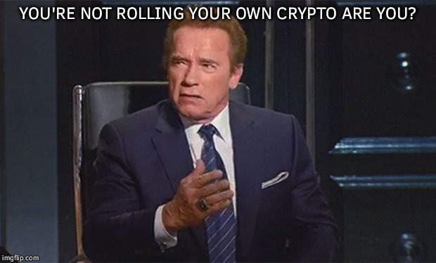 Questions that can get you terminated… | YOU'RE NOT ROLLING YOUR OWN CRYPTO ARE YOU? | image tagged in wot,funny,memes,question,terminator | made w/ Imgflip meme maker