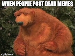 Bear's unimpressed face | WHEN PEOPLE POST DEAD MEMES | image tagged in dead meme,bear,annoyed,frustrated,unimpressed | made w/ Imgflip meme maker