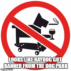 No skateboarding dogs allowed. | LOOKS LIKE RAYDOG GOT BANNED FROM THE DOG PARK | image tagged in raydog,skateboard,dog,funny,funny signs | made w/ Imgflip meme maker