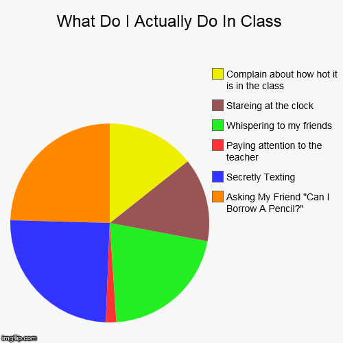 image tagged in funny,pie charts | made w/ Imgflip chart maker