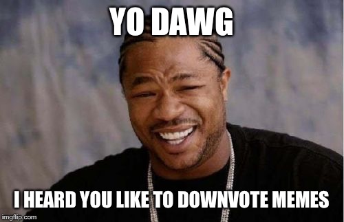 Yo Dawg Heard You Meme | YO DAWG; I HEARD YOU LIKE TO DOWNVOTE MEMES | image tagged in memes,yo dawg heard you | made w/ Imgflip meme maker