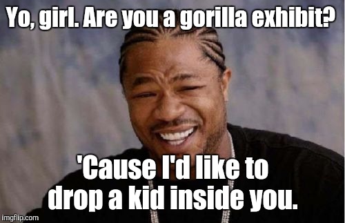 Yo Dawg Heard You Meme | Yo, girl. Are you a gorilla exhibit? 'Cause I'd like to drop a kid inside you. | image tagged in memes,yo dawg heard you | made w/ Imgflip meme maker