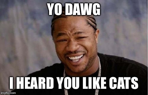 Yo Dawg Heard You Meme | YO DAWG; I HEARD YOU LIKE CATS | image tagged in memes,yo dawg heard you | made w/ Imgflip meme maker