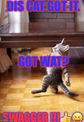 Cool Cat Stroll | DIS CAT GOT IT. GOT WAT? SWAGGER
!!!👍😝 | image tagged in memes,cool cat stroll | made w/ Imgflip meme maker